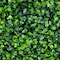 Ejoy 20in x 20in Artificial Boxwood Hedge Greenery Panels, Milan, 12PK Milan_1box - alternate 4